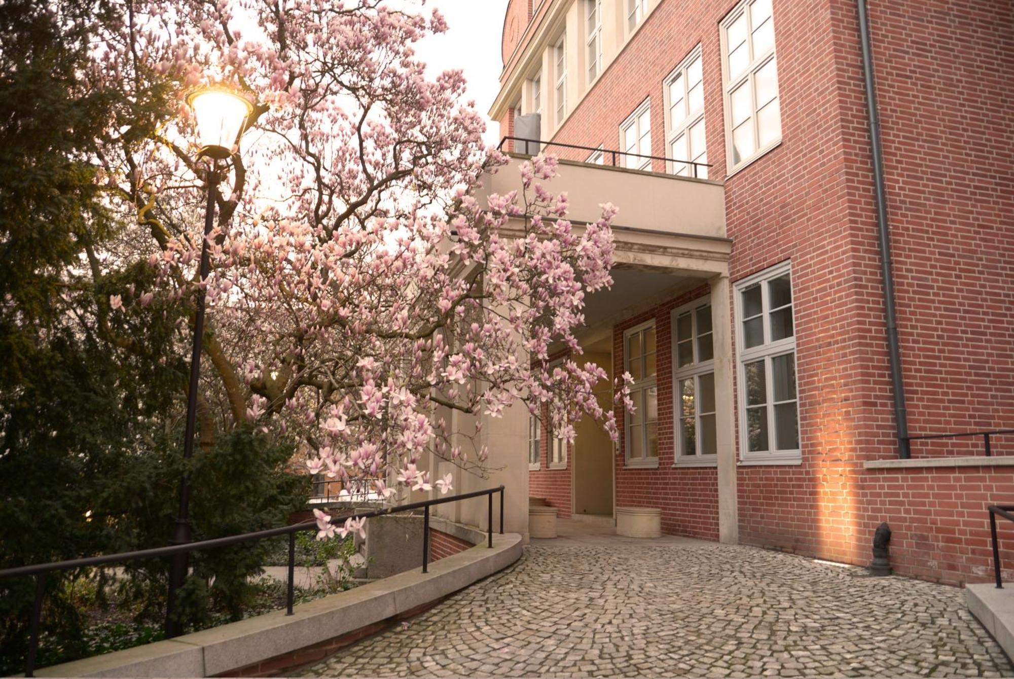 Rooms In Historic Heart Of Wrocław Eksteriør bilde