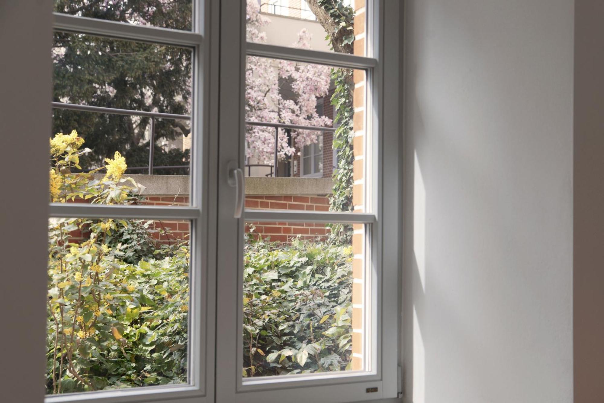 Rooms In Historic Heart Of Wrocław Rom bilde